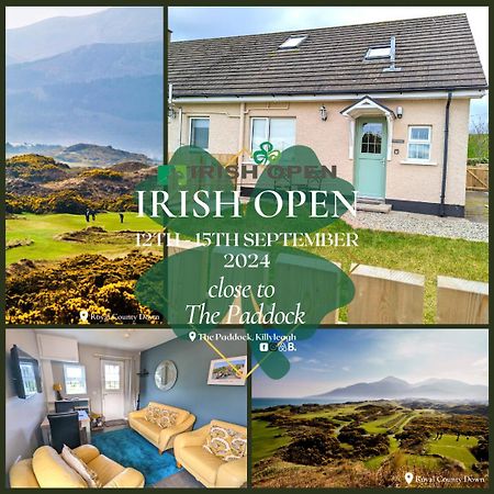 Apartament The Paddock Killyleagh Zewnętrze zdjęcie