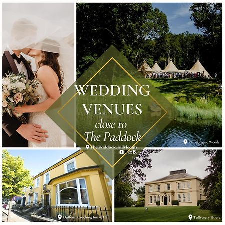 Apartament The Paddock Killyleagh Zewnętrze zdjęcie