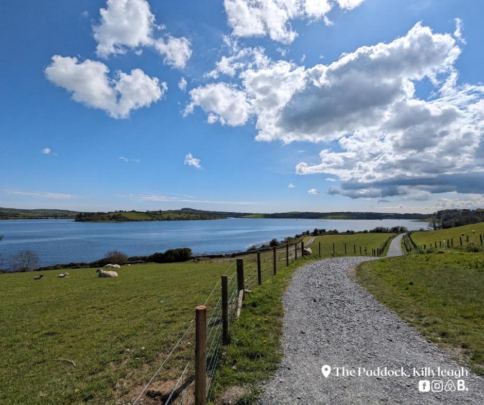 Apartament The Paddock Killyleagh Zewnętrze zdjęcie