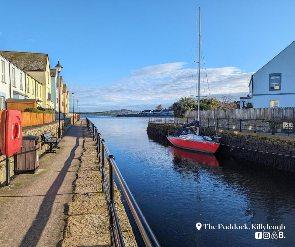 Apartament The Paddock Killyleagh Zewnętrze zdjęcie
